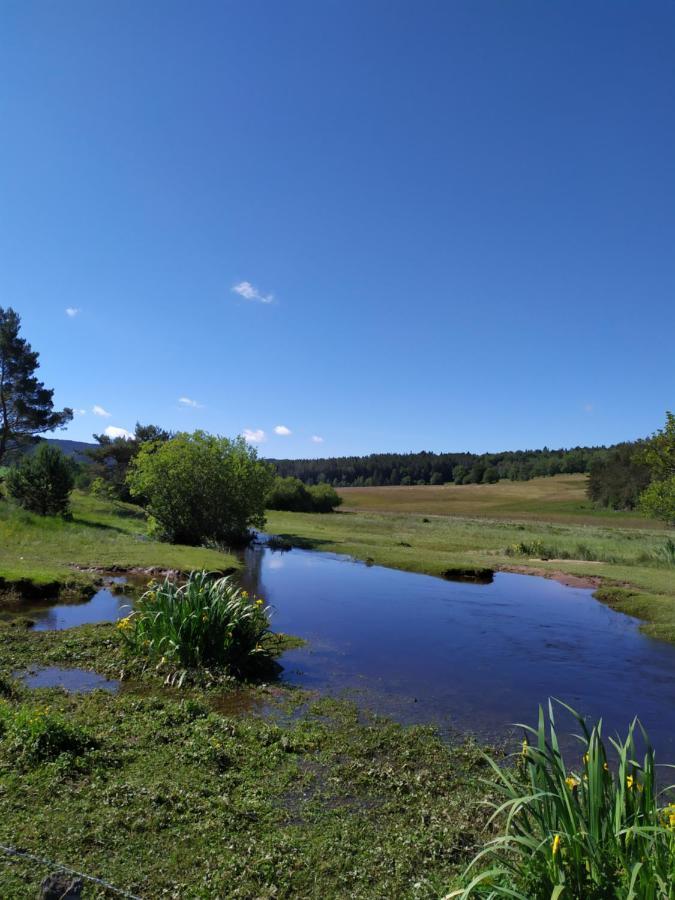 La Maison D'Oree Polignac  ภายนอก รูปภาพ