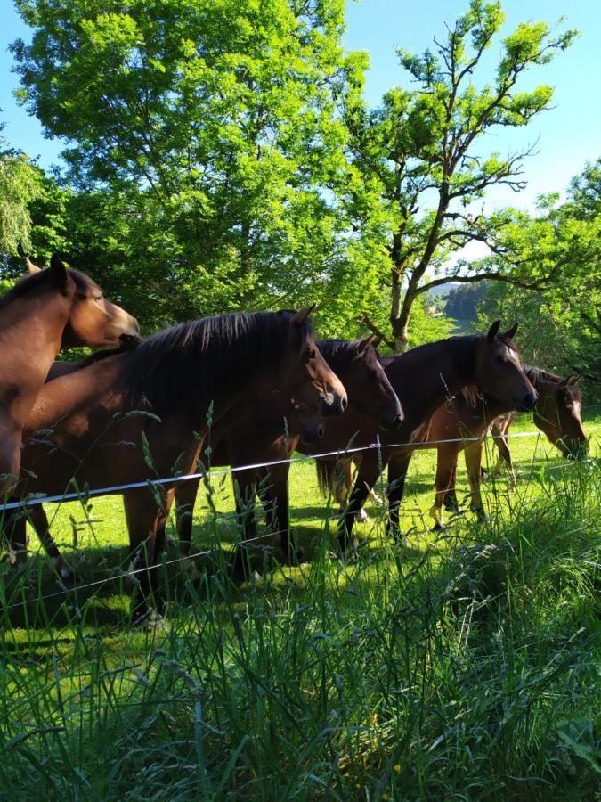La Maison D'Oree Polignac  ภายนอก รูปภาพ